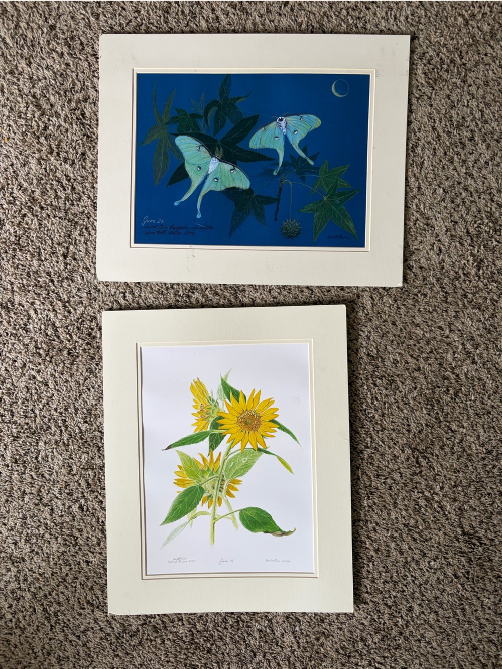 Two Art Prints